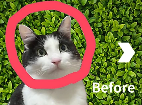 オリジナルゴルフマーカーペット写真-工程Befor